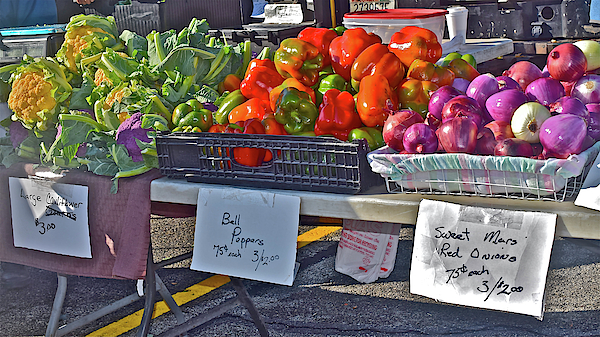 2019 Monona Farmers' Market Season's End Market Stand by Janis Nussbaum Senungetuk 2019 Monona Farmers' Market Season's End Market Stand by Janis Nussbaum Senungetuk